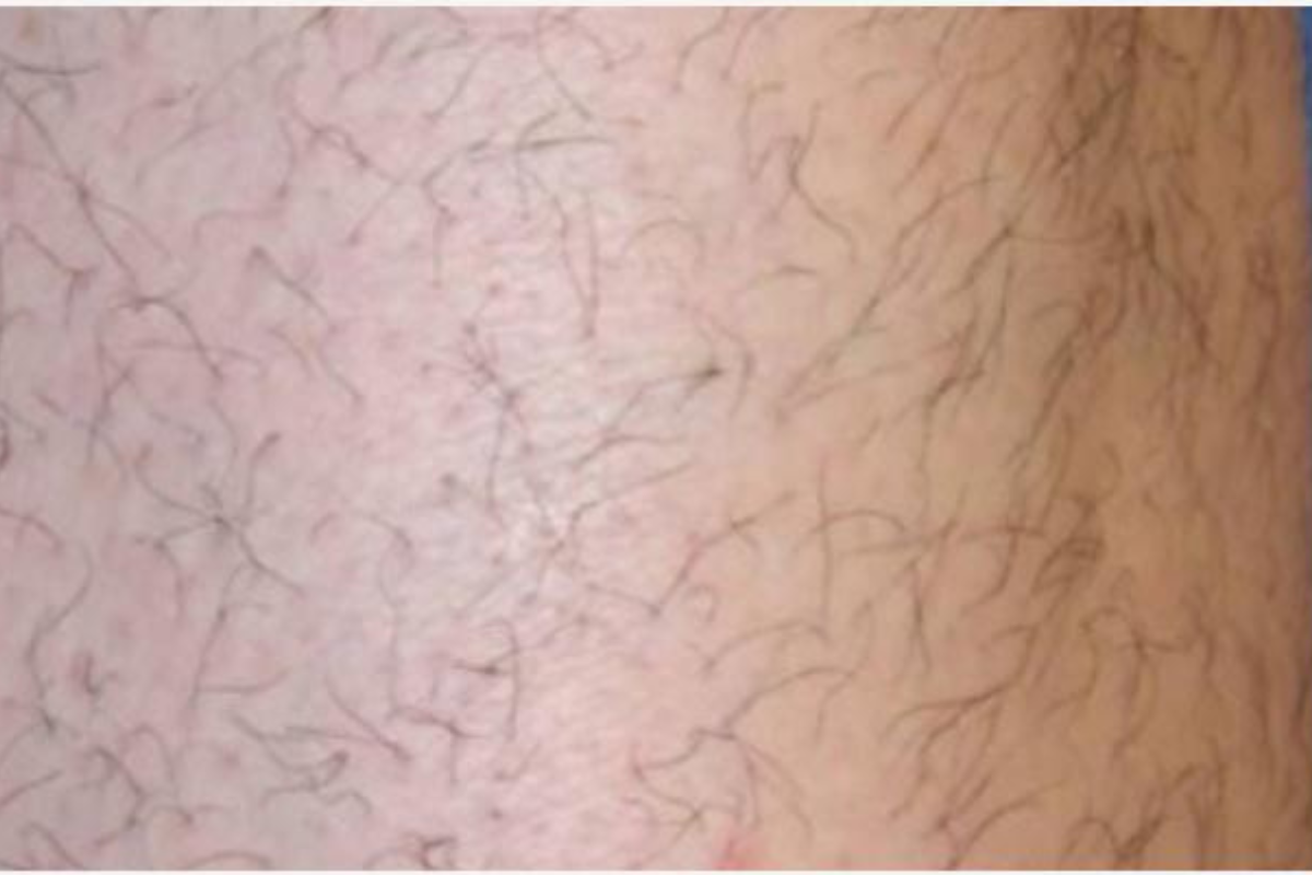 Untitled design - 2025-12-09T210828.254